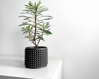 Spiky Planter Pot, Sculptural Indoor Vessel, Black Deco Succulent, Cactus Holder, Compact Drainage Tray
