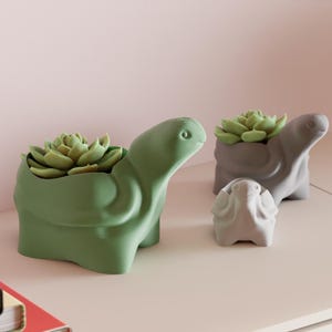 Tortoise Shaped Succulent Cactus Planter, Decorative Animal Pot, Terracotta White