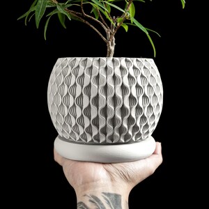 Atmospheric Planter Pot, Decorative Succulent Container, Indoor Houseplant Holder Desk Statement, Minimalist, Nordic Style