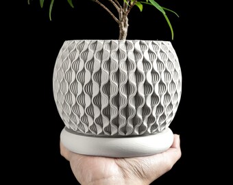 May include: A white, patterned ceramic planter with a small green plant. The planter has a textured, wave-like design and sits on a matching saucer. The plant has green leaves and a brown stem. The background is black.