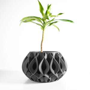 May include: A dark gray, decorative planter with a geometric, teardrop-shaped pattern. The planter holds a small green plant with long, slender leaves. The plant's stem is light brown. The planter is round and sits on a white background.