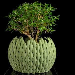 May include: A small green plant with thin, pointed leaves growing out of a spherical planter. The planter features a repeating, textured, diamond-shaped pattern across its entire surface, finished in a matte, light sage green color.