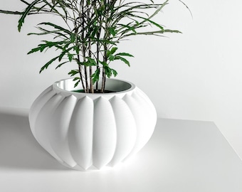 Planter Pot, Contemporary Minimalist, Indoor Outdoor Plant Holder, Functional Organizer, Versatile Container