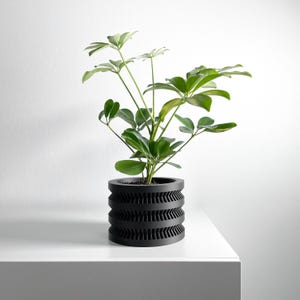May include: A potted plant with vibrant green leaves in a black, textured planter. The planter has a geometric design and sits on a white surface against a white wall. The plant is a Schefflera arboricola.