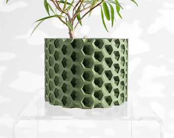 May include: A green, cylindrical plant pot with a honeycomb design. The pot is filled with soil and a small plant with long, green leaves. The pot is sitting on a clear, acrylic surface.