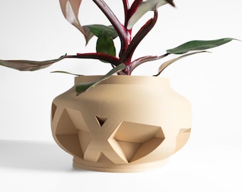 May include: A beige, geometric-patterned planter pot holding a plant with dark green leaves and red stems. The pot has a round shape with cut-out geometric shapes around the sides. The plant has large, oval-shaped leaves.