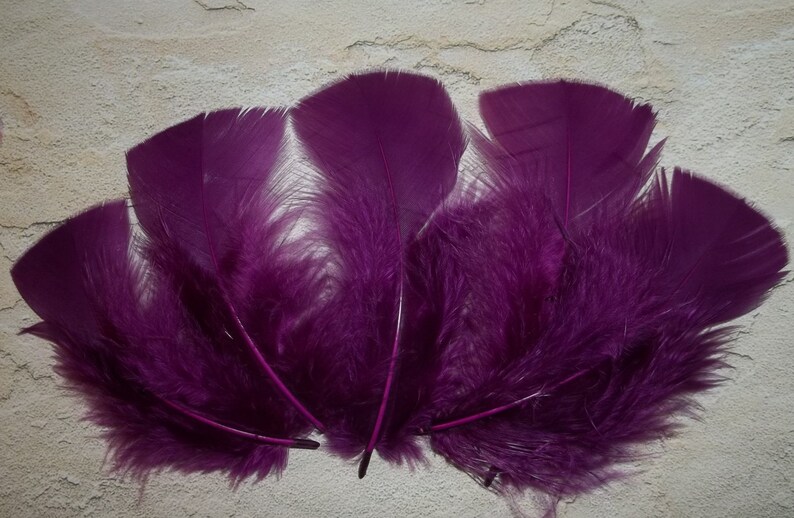 Plum Purple feathers plum feathers deep purple feathers Etsy