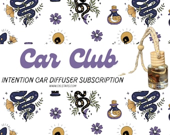 Car Diffuser Subscription Intention Car Diffuser Car Air Freshener Car Freshie Herbs Crystals Reiki Witchy Car Diffuser