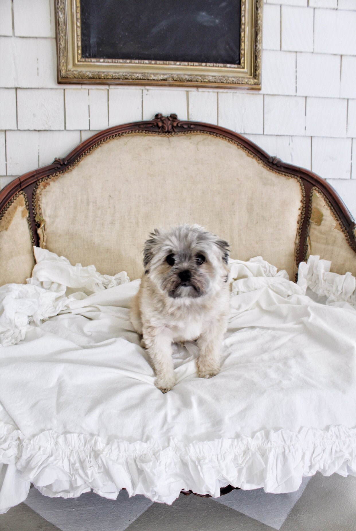 Ruffled Cotton Throw Dog Blanket Animal Cover Shabby Etsy