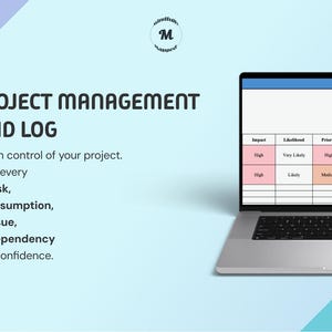 RAID Log Template | Risk, Assumption, Issue & Dependency Tracker | Editable Excel Spreadsheet