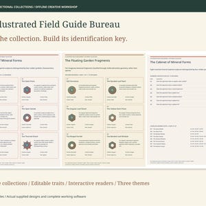 以下が含まれることがあります： The Illustrated Field Guide Bureauと題されたデジタル文書。The Cabinet of Mineral FormsとThe Floating Garden Fragmentsの3つのセクションで構成され、テキスト、識別キー、小さな幾何学的なアイコンが含まれています。