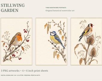 Set van 3 printbare botanische aquarelprints van wintervogels: roodborstje, koolmees en goudvink.