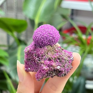 May include: A vibrant purple mineral specimen with a spherical cluster atop a rough, textured base. The mineral displays a crystalline structure and a rich, deep purple hue, with hints of brown and gold.