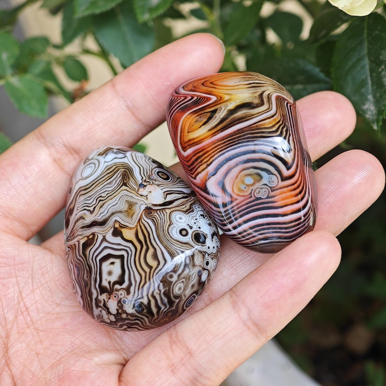 Peut inclure: Deux pierres d'agate polies et arrondies pr&eacute;sentant des motifs de bandes concentriques complexes. Une pierre affiche des nuances d'orange profond, de brun et de blanc, tandis que l'autre pr&eacute;sente un m&eacute;lange complexe de lignes noires, brunes, fauves et blanches.