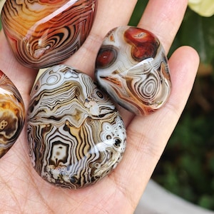 Peut inclure: Trois pierres d'agate polies, lisses et arrondies, pr&eacute;sentant des motifs de bandes concentriques complexes dans des tons de brun, cr&egrave;me, blanc et rouge profond. Les pierres ont une surface brillante et r&eacute;fl&eacute;chissante avec des formations min&eacute;rales distinctes.