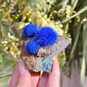 Peut inclure: Gros plan sur un spécimen minéral avec des cristaux d'azurite bleu vif. L'azurite forme des amas sphériques et épineux sur une matrice de roche brune et verte. La lumière naturelle met en valeur la couleur et la texture riches du minéral.