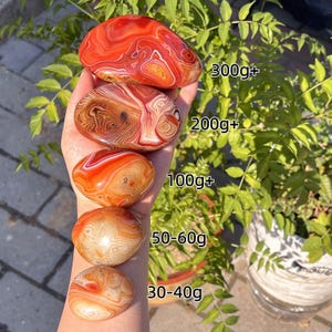 Peut inclure: Cinq pierres d'agate polies, lisses et arrondies, aux nuances orange, rouge et blanc avec des motifs en bandes. Les pierres sont &eacute;tiquet&eacute;es avec des poids : 300g+, 200g+, 100g+, 50-60g et 30-40g, indiquant leurs tailles respectives.