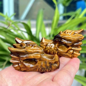 May include: Two carved dragon heads made of tiger's eye gemstone. The dragon heads are a golden brown color with dark brown streaks. The heads are held in a person's hand.