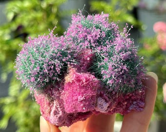 Ejemplar de zeolita de cristal rubí brillante: adorno de roca mineral reactivo a los rayos UV