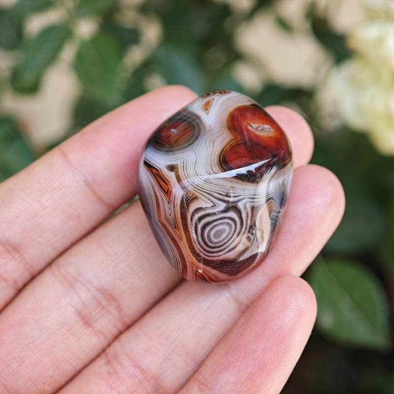 Peut inclure: Une pierre d'agate polie et roul&eacute;e pr&eacute;sentant des bandes concentriques complexes dans des tons de rouge profond, de brun, de blanc et de gris translucide. La surface lisse et arrondie affiche un motif complexe de couches min&eacute;rales.