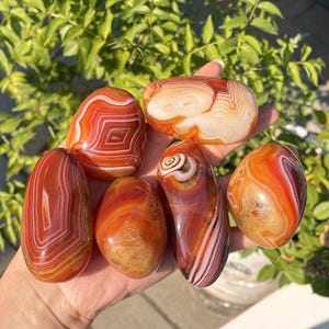 Peut inclure: Un ensemble de six pierres polies, lisses et arrondies, pr&eacute;sentant des bandes vibrantes orange, rouges et blanches. Chaque pierre affiche des motifs concentriques complexes et des couches d'agate, avec une texture de surface brillante.