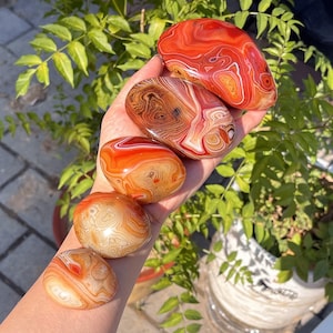 Peut inclure: Cinq pierres polies, lisses et arrondies dispos&eacute;es en ligne. Les pierres pr&eacute;sentent des bandes concentriques de couleurs dans des tons orange vif, rouge profond, cr&egrave;me et blanc, mettant en valeur des motifs d'agate naturelle brillants.