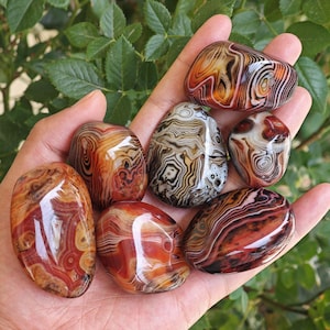 Peut inclure: Un ensemble de six pierres polies, lisses et arrondies, pr&eacute;sentant des motifs de bandes concentriques complexes dans des tons de rouge profond, orange br&ucirc;l&eacute;, cr&egrave;me, blanc et brun fonc&eacute;, pr&eacute;sent&eacute;es dans une paume sur fond de feuilles vertes.