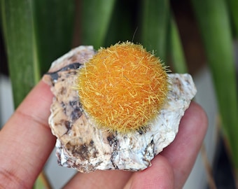 Rare Dandelion Zeolite Quartz Crystal Chunk, Mineral Specimen, Home Decor