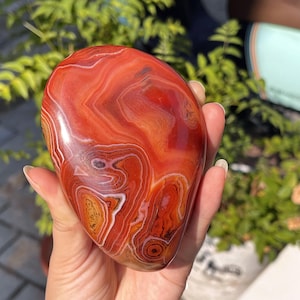 Peut inclure: Une pierre d'agate polie en forme de goutte, pr&eacute;sentant des bandes vibrantes de rouge profond, d'orange br&ucirc;l&eacute; et de blanc. La surface lisse affiche des motifs complexes et tourbillonnants ainsi que des anneaux concentriques naturels.
