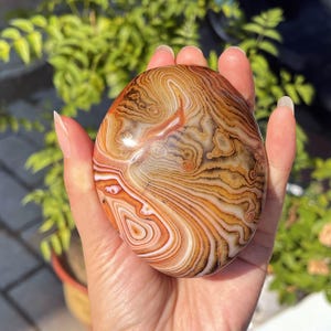 Peut inclure: Une pierre d'agate polie et arrondie pr&eacute;sentant des bandes concentriques complexes dans des tons orange br&ucirc;l&eacute;, cr&egrave;me, beige et brun fonc&eacute;. La surface est lisse et r&eacute;fl&eacute;chissante, r&eacute;v&eacute;lant des motifs naturels en tourbillons superpos&eacute;s.