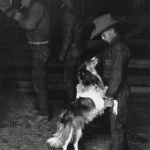 Elliott erwitt - Etsy 日本