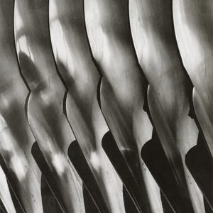 May include: A black and white photograph of a series of curved, metallic blades, creating a geometric pattern. The blades are arranged in a row, with the tips pointing towards the bottom of the image. The blades are smooth and reflective, and the light catches them in a way that creates a sense of depth and dimension.