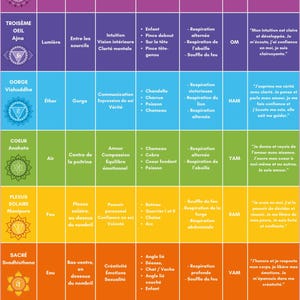 7 Chakra's Poster – Technisch Blad: Symbolen – Elementen – Mantra's – Houdingen – Affirmaties (2 versies) | A3 PDF-posters om te downloaden