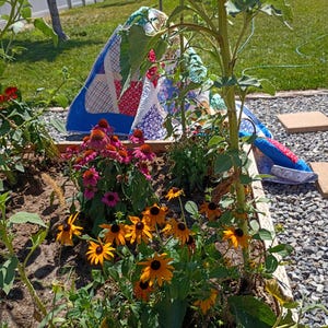 May include: A garden bed featuring vibrant orange black-eyed Susans and purple coneflowers in the foreground, with a tall sunflower plant standing nearby. Behind the flowers, a colorful patchwork quilt with blue, red, and white patterns is draped.