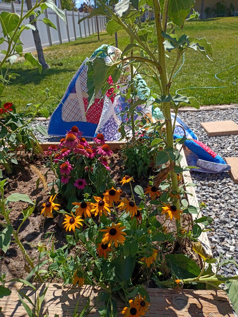 May include: A garden bed featuring vibrant orange black-eyed Susans and purple coneflowers in the foreground, with a tall sunflower plant standing nearby. Behind the flowers, a colorful patchwork quilt with blue, red, and white patterns is draped.