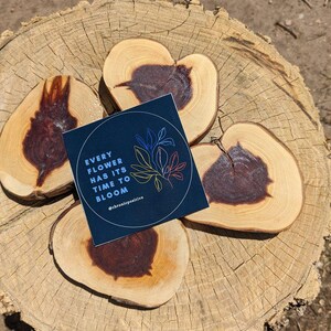 Jede Blume hat ihre Zeit, Aufkleber zu blühen - Chronische Krankheit Aufkleber, positive Aufkleber, Spoonie Aufkleber, Aufkleber für psychische Gesundheit