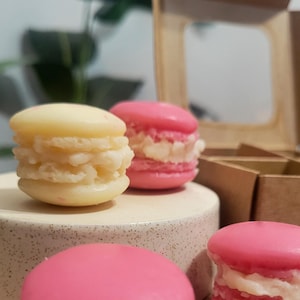 Naturliga vaxsmältor Rosa mini Macaron vaxsmälta 4-pack Presentask