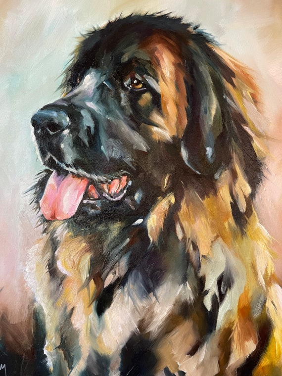 20x20 pet portrait, oil