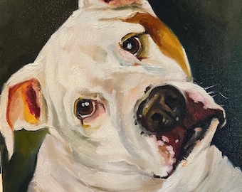 16x20 pet portrait, oil painting, one pet