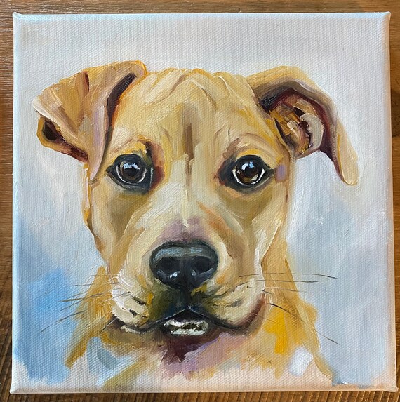 8x8 pet portrait