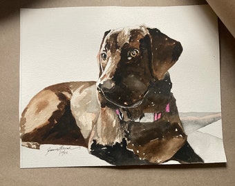 Dog, dogs, cats, kittens Animal portraits, pet portraits, watercolor paintings of pets, gifts