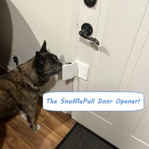 Alternatief hondenluik: niet-gesneden deuropener voor huisdieren en automatische sluiting, veilig voor huurders
