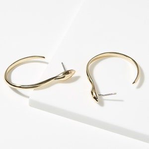 Snake Drop Brass Earrings