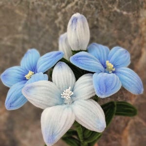Peut inclure: Un bouquet de fleurs faites à la main avec des pétales bleus et blancs et des tiges vertes. Les fleurs ont un aspect doux et texturé, avec un dégradé bleu clair sur les pétales. Le centre des fleurs est jaune et blanc.