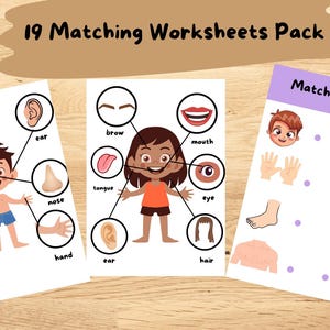My  Senses Printable Pack | Human Senses Preschool Learning Game | Educational Matching Game | Sorting Pre-K Activity | Kids Busy Book