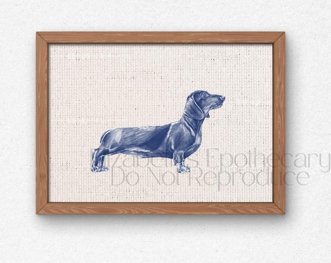 Vintage Dachshund Print: Antique Style Dog Wall Art (Digital Download)