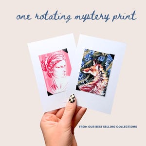 May include: Two rectangular white art prints featuring black corner mounts. One print displays a pink monochromatic classical bust illustration, while the other shows a colorful fox amidst blue flowers. Text reads: one rotating mystery print.
