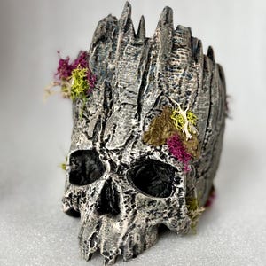 Vaso de planta em forma de crânio de floresta