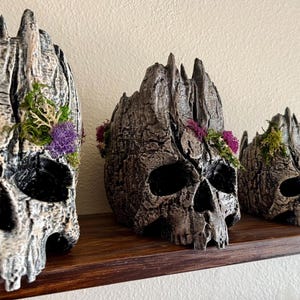 Forest Skull Plant Pot