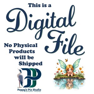 Missouri PNG | State Design with Motto | Transparent POD File | Illustration image 7